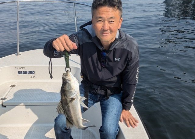 シーバス(スズキ)