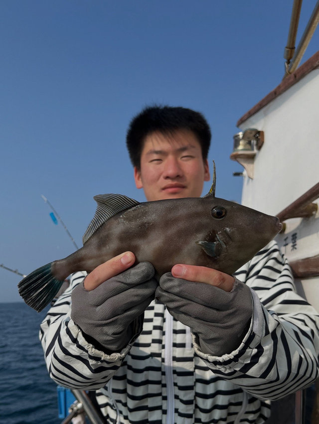 ウマズラハギ(ウマヅラハギ)