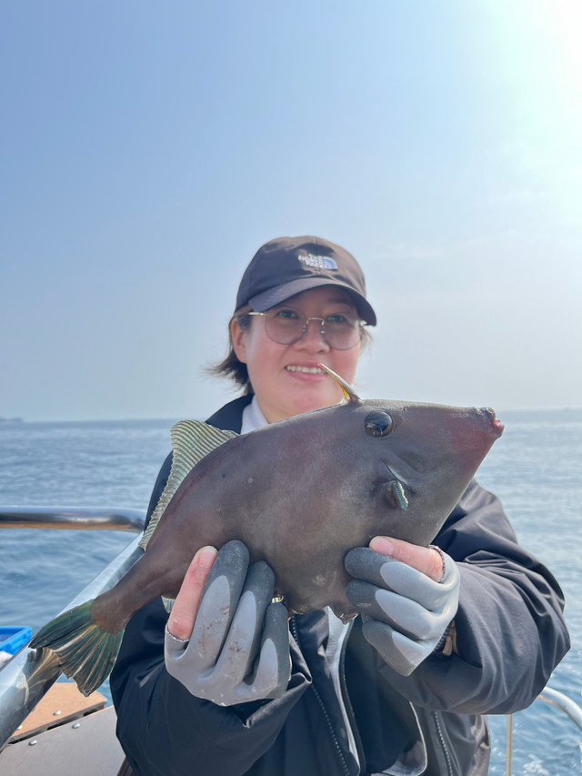 ウマズラハギ(ウマヅラハギ)