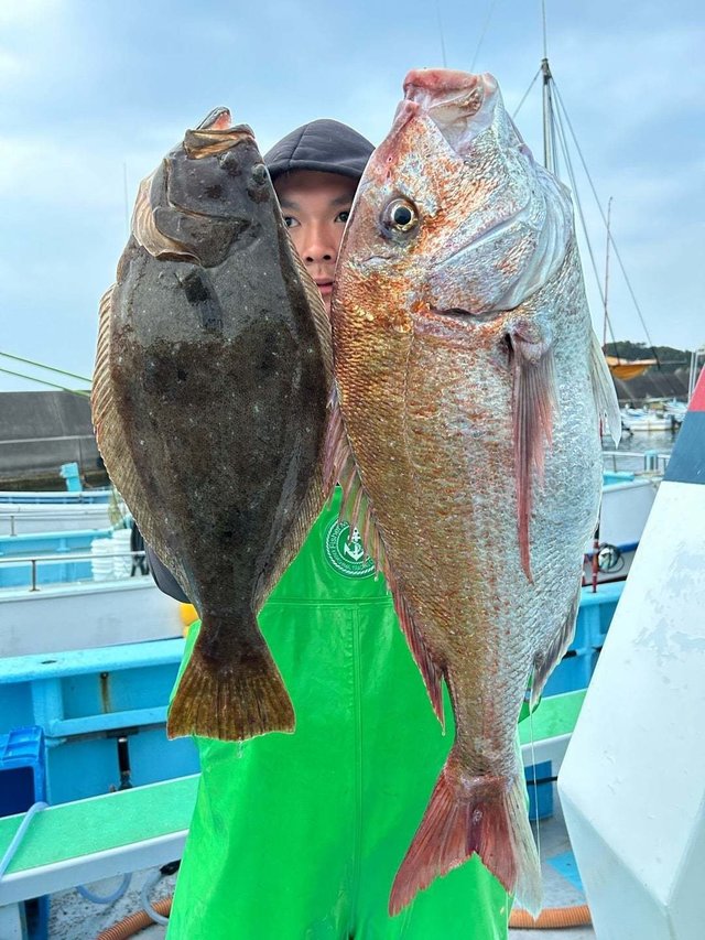 マダイ・ヒラメ