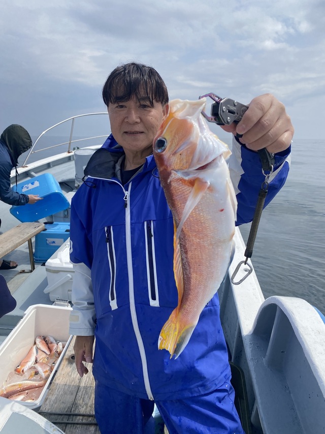 アマダイ(アカアマダイ)