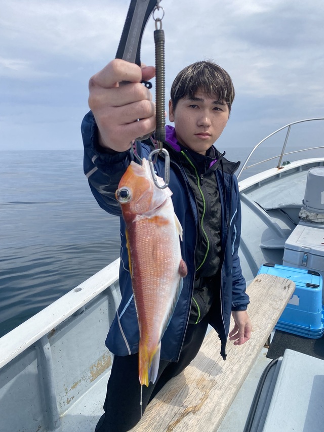 アマダイ(アカアマダイ)