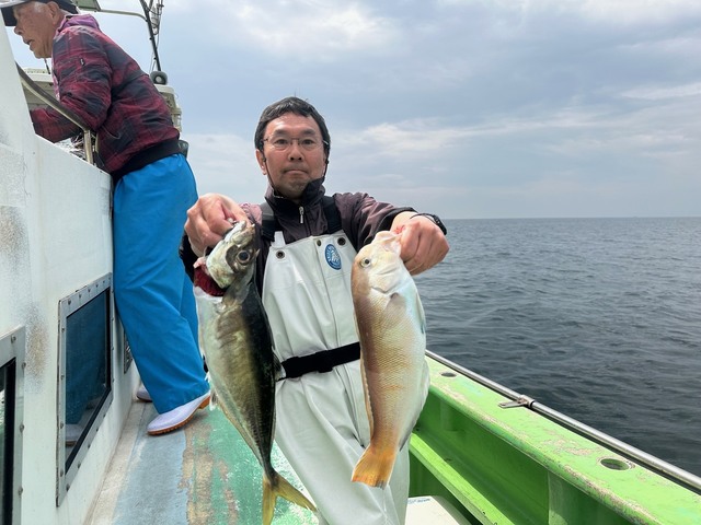 アジ(マアジ)・シロアマダイ