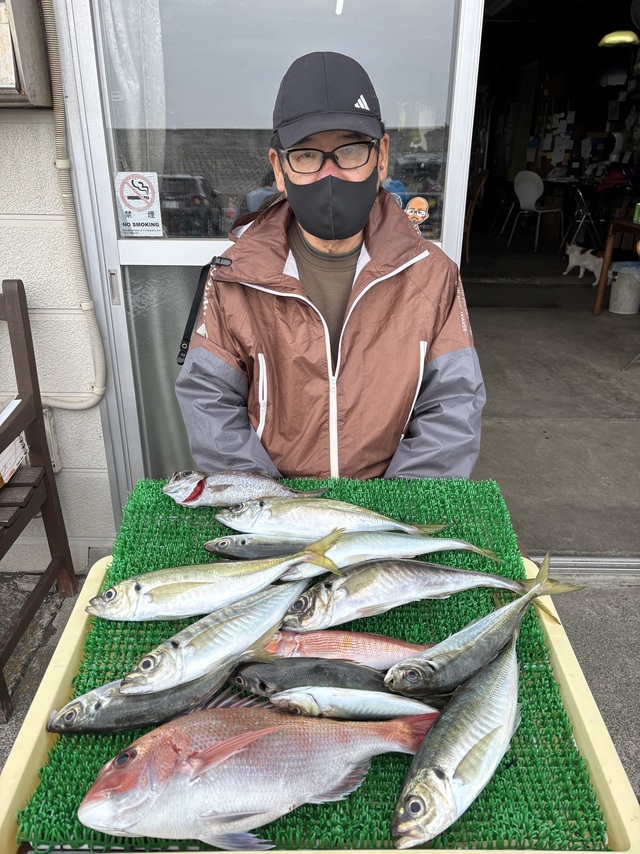 マダイ・アジ(マアジ)