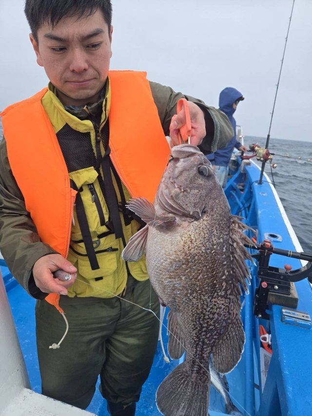 マゾイ(キツネメバル)