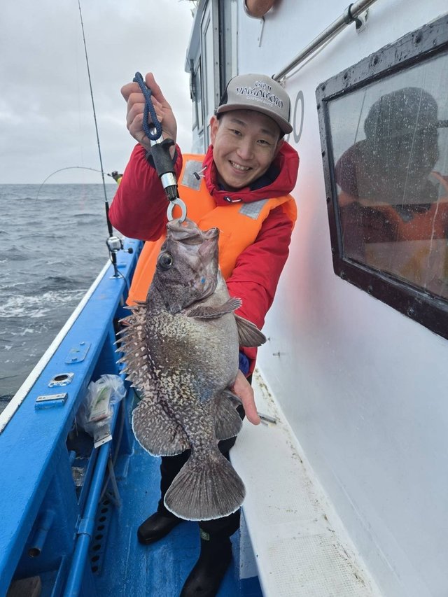 マゾイ(キツネメバル)