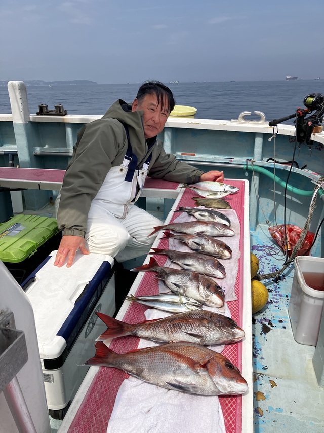 マダイ・マアジ