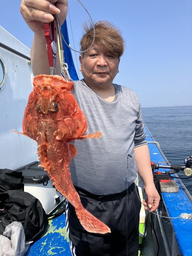 オニカサゴ