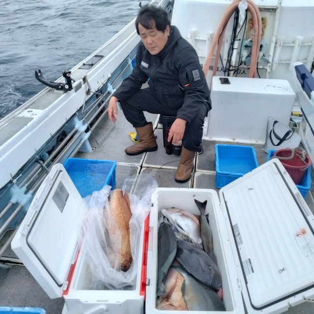 マダイ・ウメイロ