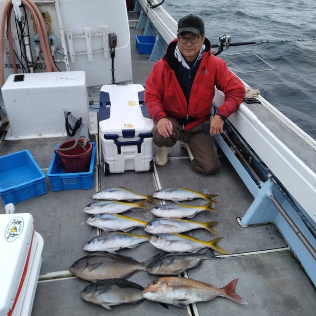 ウメイロ・イサキ