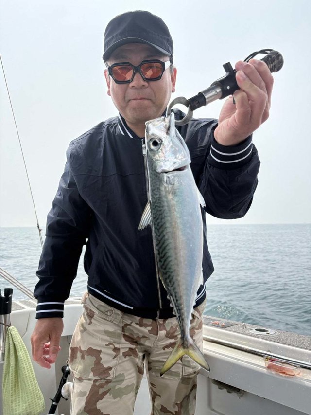 サバ(マサバ)