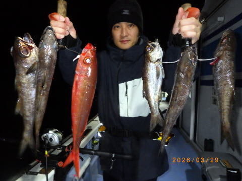 クロムツ・ハチビキ