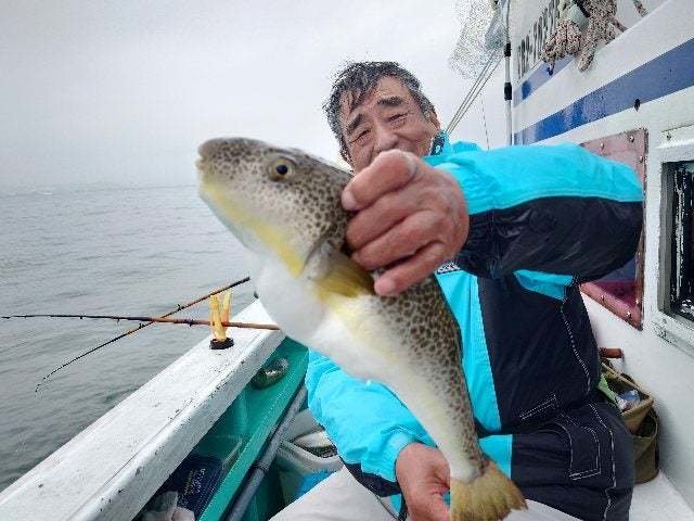 ショウサイフグ