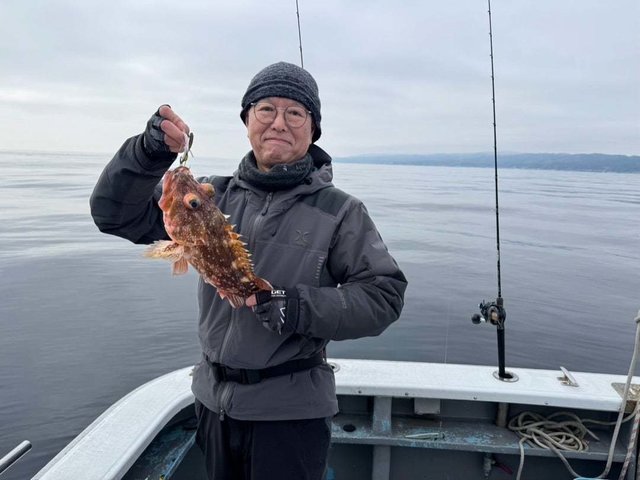 ウッカリカサゴ