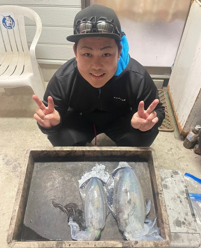 アオリイカ