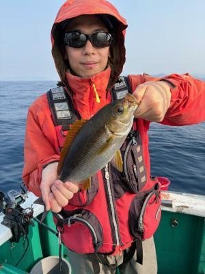 イサギ(イサキ)