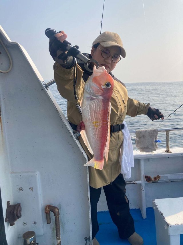 アマダイ(アカアマダイ)