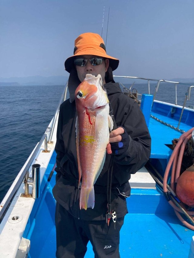 アマダイ(アカアマダイ)