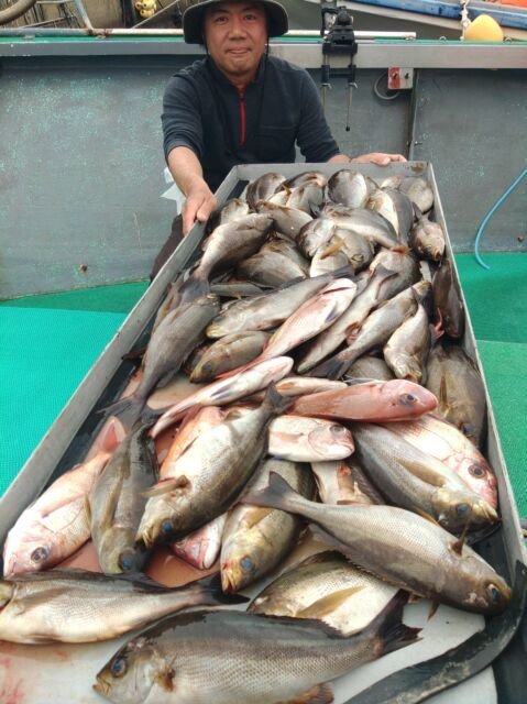 マダイ・イサキ