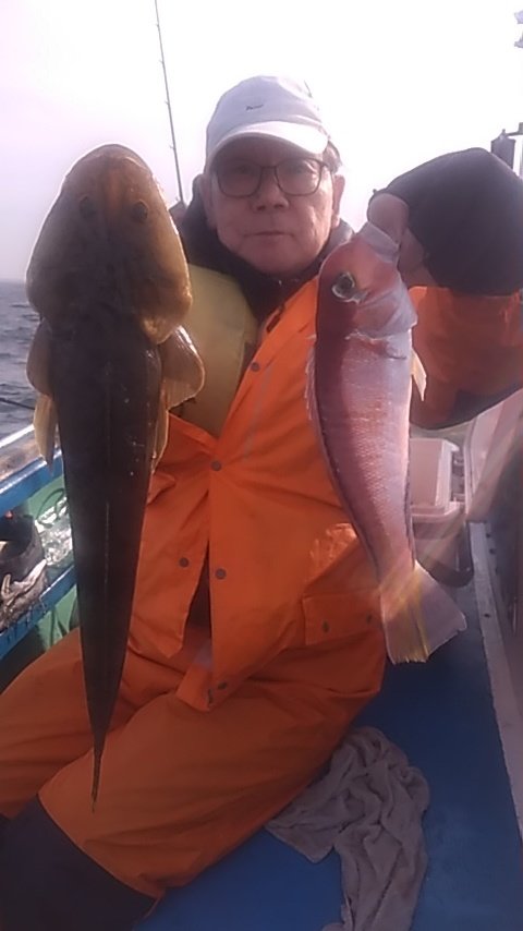 アマダイ(アカアマダイ)・マゴチ