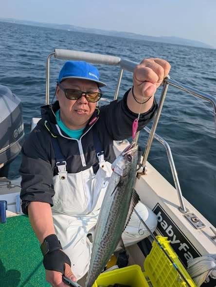 サゴシ(サワラ)