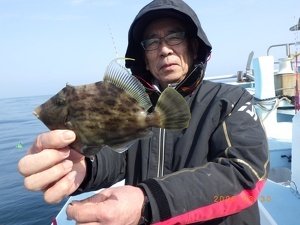 カワハギ