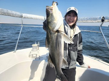 シーバス(スズキ)