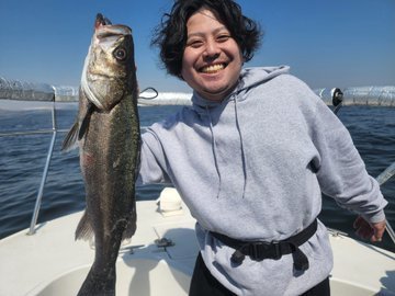 シーバス(スズキ)