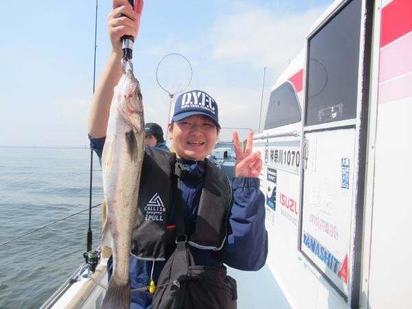 シーバス(スズキ)