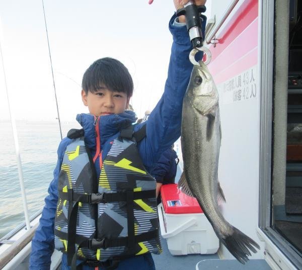 シーバス(スズキ)