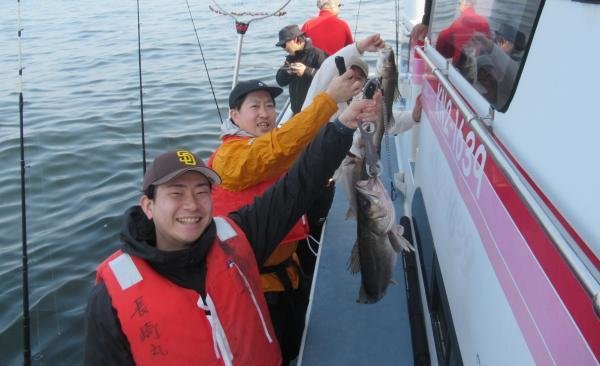 シーバス(スズキ)