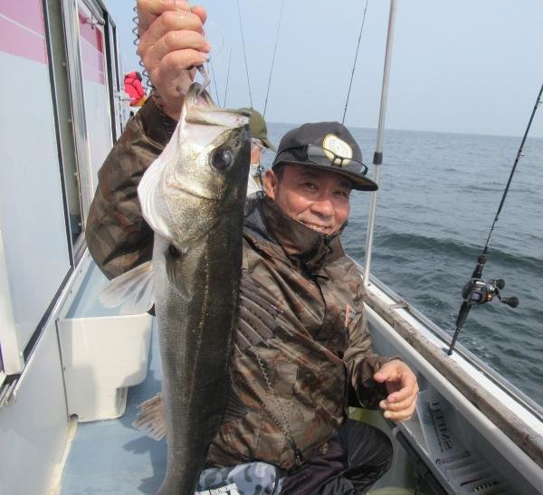 シーバス(スズキ)