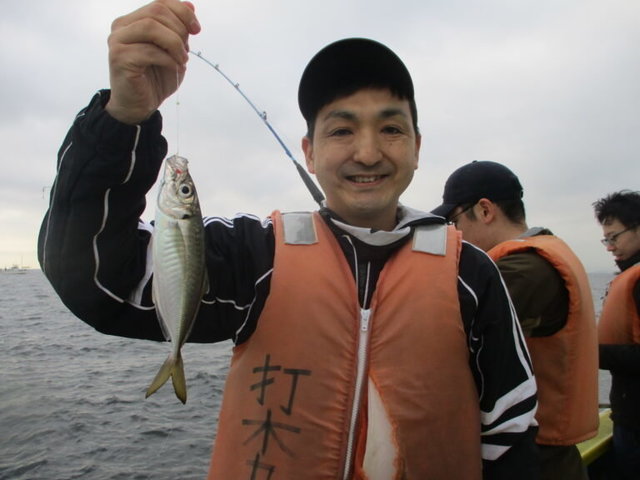 アジ(マアジ)