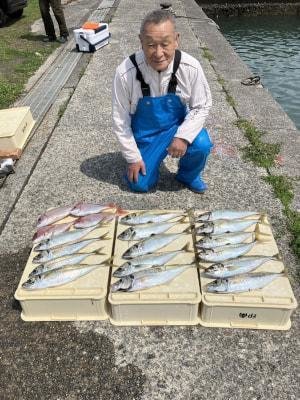 マダイ・マアジ