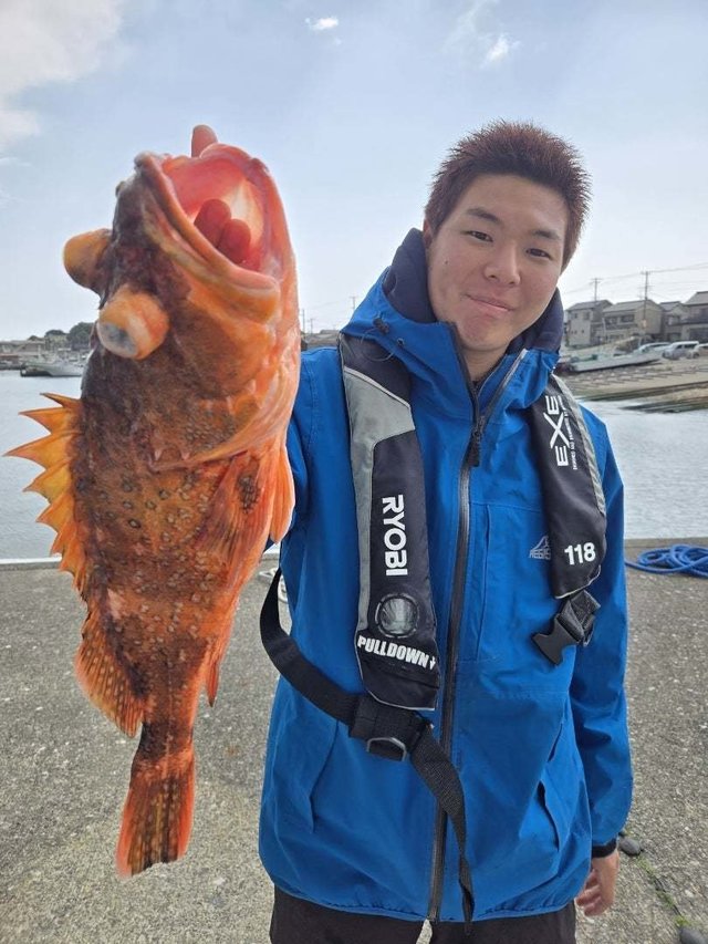 ウッカリカサゴ