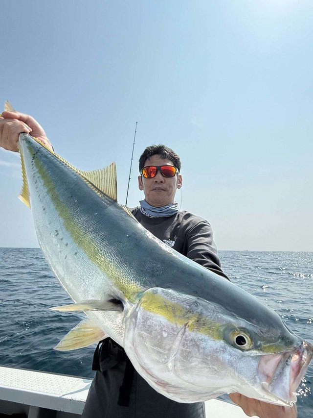 サンパク(ブリ)