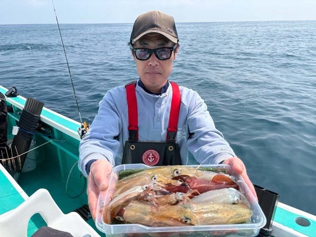 マルイカ(ケンサキイカ)