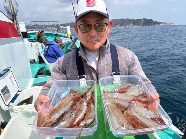 マルイカ(ケンサキイカ)