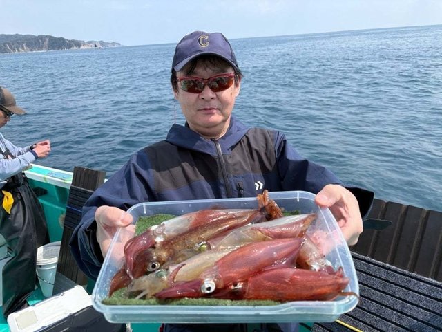 マルイカ(ケンサキイカ)