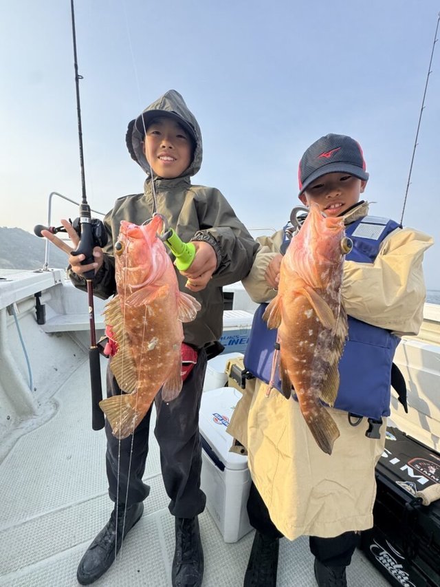 アコウ(キジハタ)