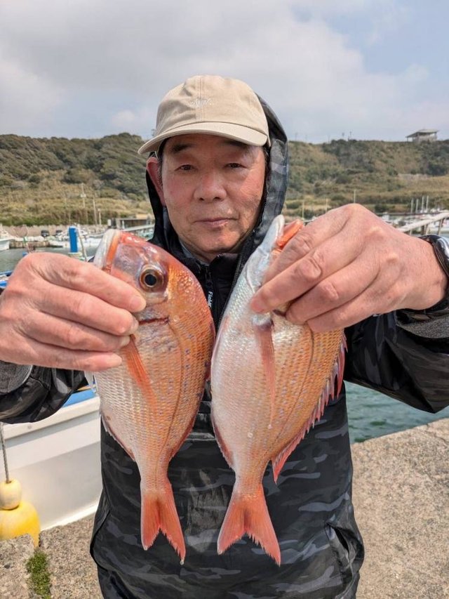 ハナダイ(チダイ)