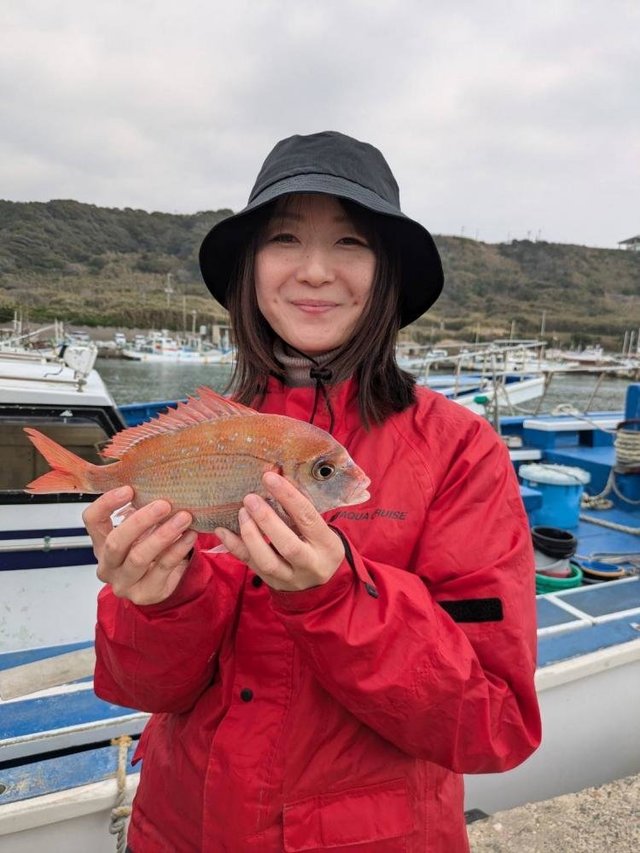 ハナダイ(チダイ)