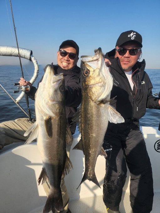 シーバス(スズキ)