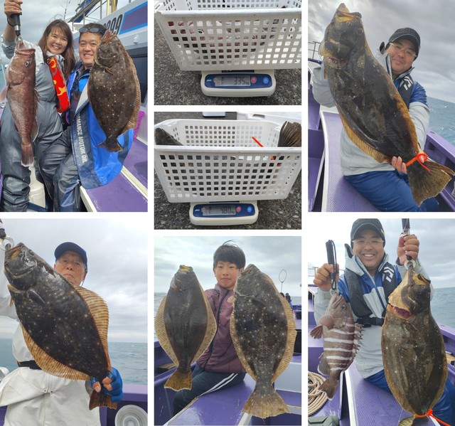 マハタ・ヒラメ