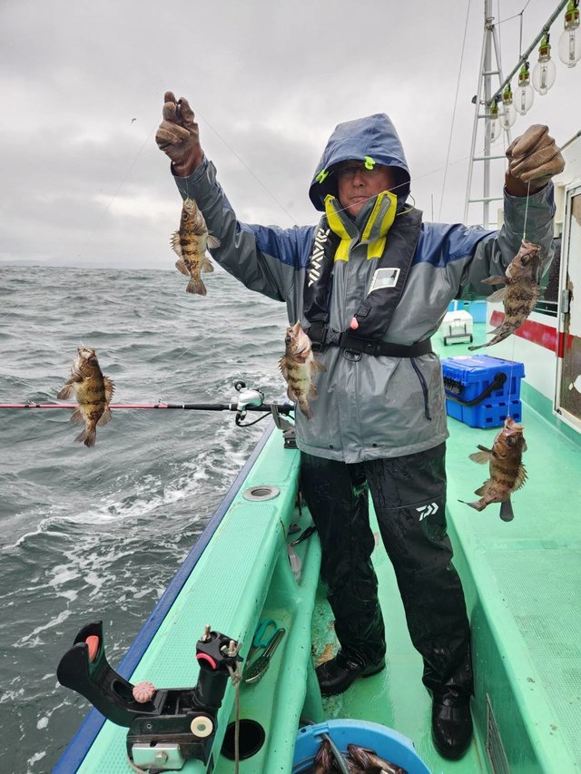 クロメバル(メバル)