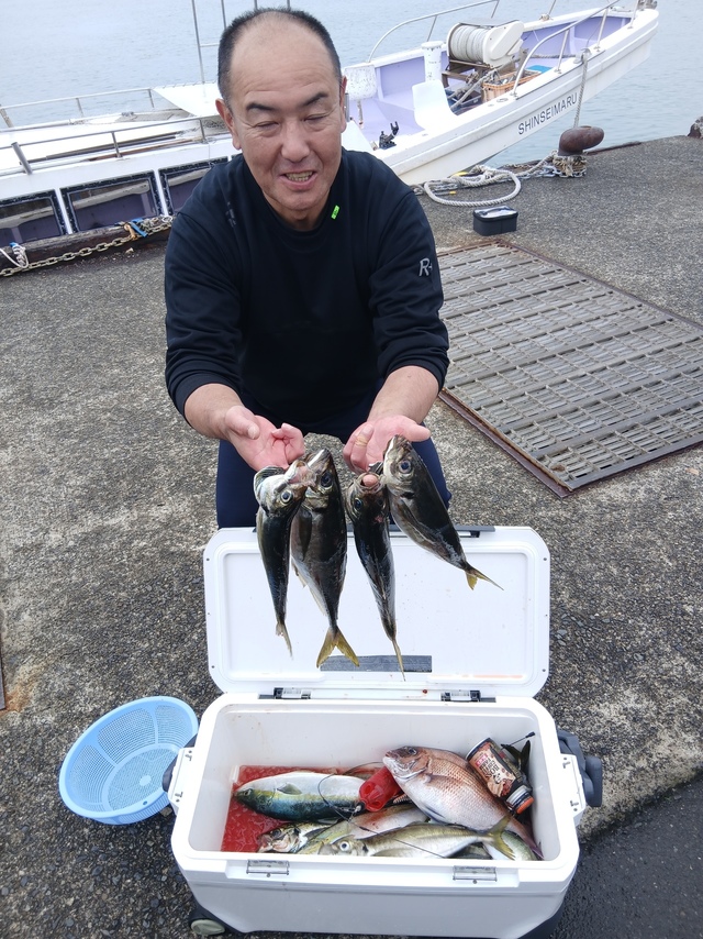 マダイ・マアジ