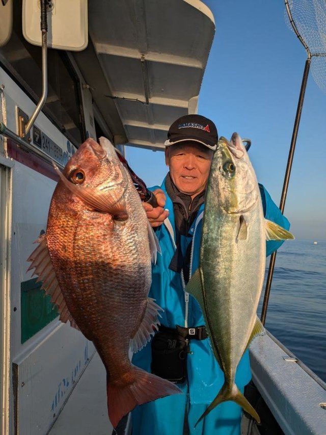 マダイ・イナダ(ブリ)