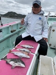 マダイ・クロダイ