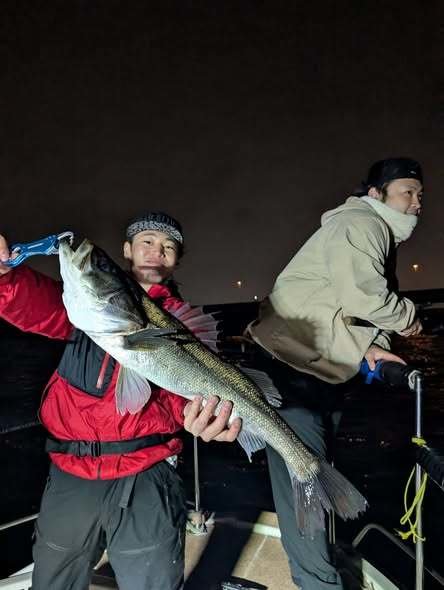 シーバス(スズキ)