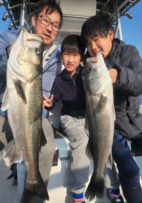 シーバス(スズキ)